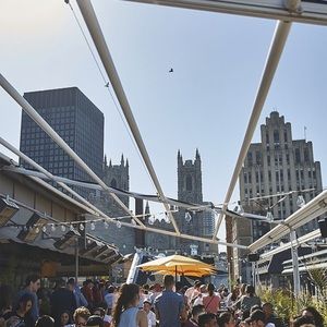 Meet your Posher, Annie